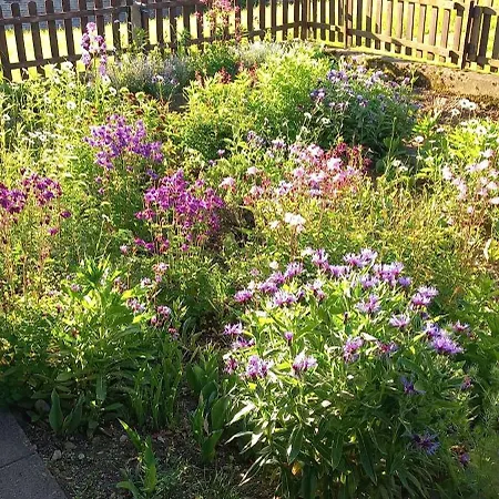 Gaestehaus Wiesenhof 아파트